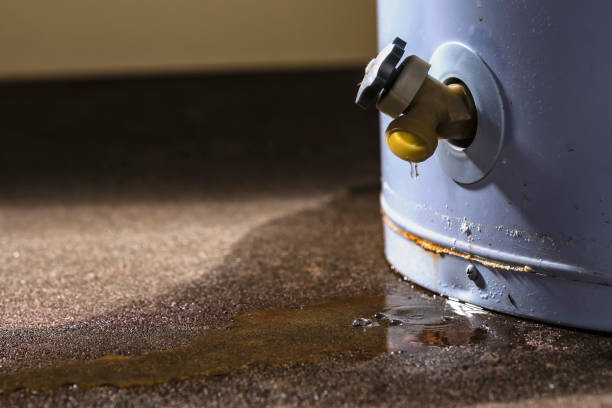 Best 24-hour water damage restoration  in Pomona Park, FL