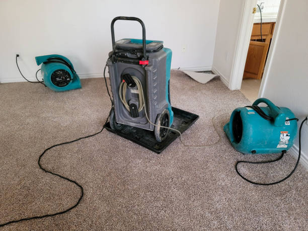 Best Fire Damage Restoration  in Pomona Park, FL