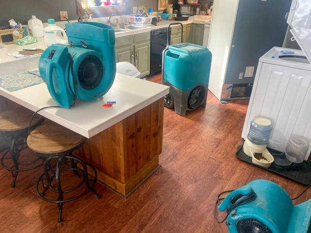Best Basement water damage restoration  in Pomona Park, FL