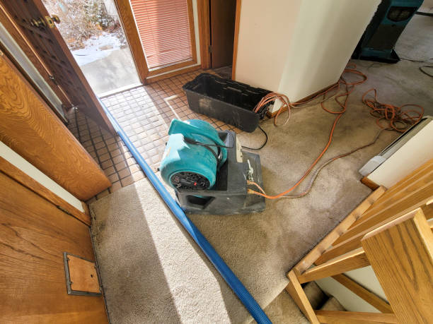 Best Fire Damage Restoration  in Pomona Park, FL