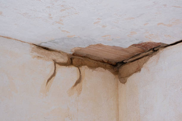  Pomona Park, FL Water damage restoration Pros