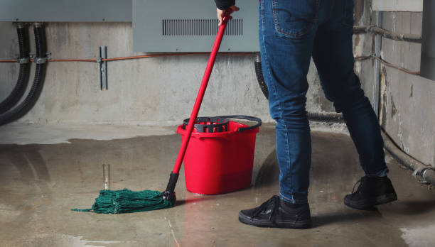 Best Residential water damage restoration  in Pomona Park, FL