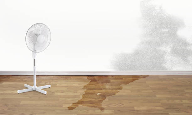 Water damage restoration experts in FL