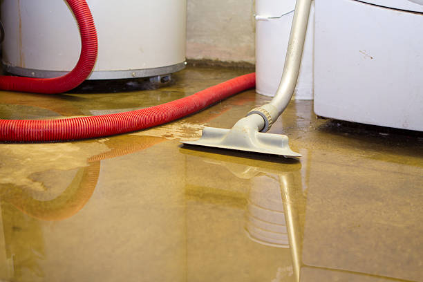 Best 24/7 water damage repair  in Pomona Park, FL