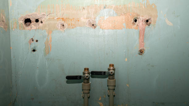 Best Flood damage cleanup  in Pomona Park, FL
