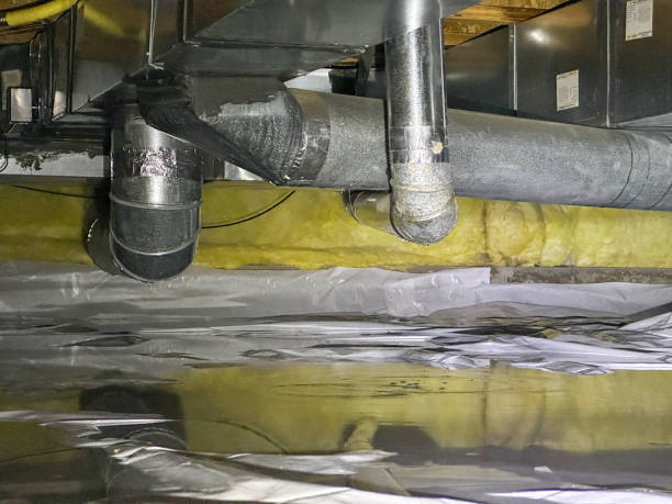 Best Mold removal after water damage  in Pomona Park, FL