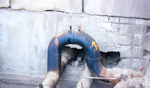 Best Water damage restoration specialists  in Pomona Park, FL