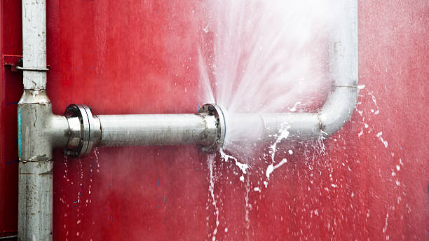 Best Water damage cleanup near me  in Pomona Park, FL