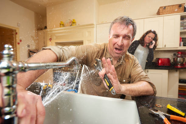 Best Water damage restoration near me  in Pomona Park, FL